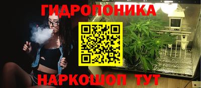 прущая мука Кингисепп
