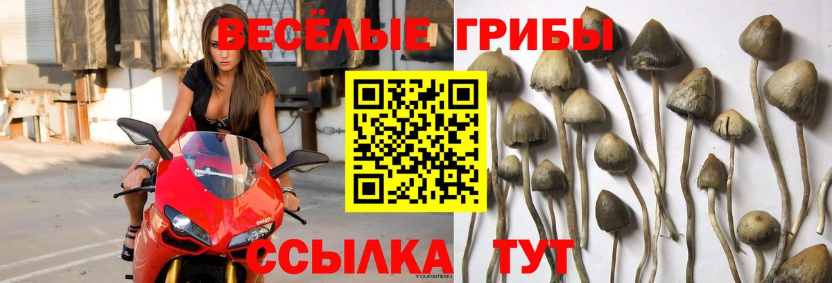 Калач-на-Дону  Галлюциногенные грибы мухоморы  Галлюциногенные грибы MAGIC MUSHROOMS  Вход с VPN 